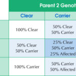 Exercise Induced Collapse DNA Test EIC Chart