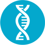 AffinityDNA DNA Helix Icon Paternity Testing in Indiana