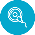 Prenatal Tests